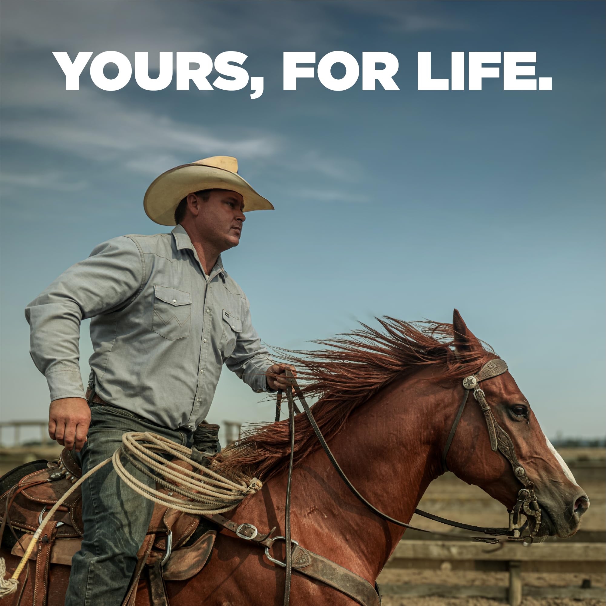 Benchmade - Osborne, Every Day, Outdoor, Folding Knife, Reverse Tanto Blade with Green 6061-T6 Aluminum Handle (940) - Image 8